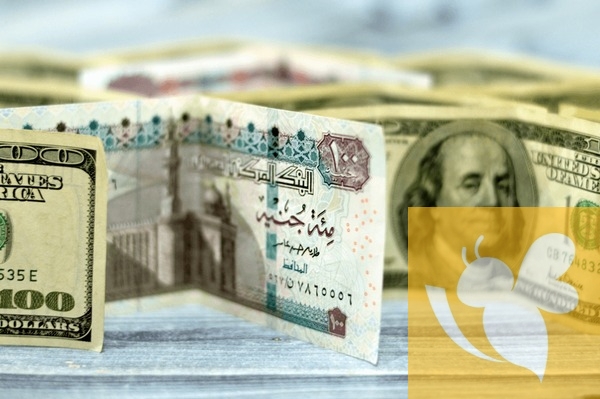شاهد الآن....أسعار صرف الجنيه المصري مقابل الدولار اليوم الجمعة 2مايو 2025