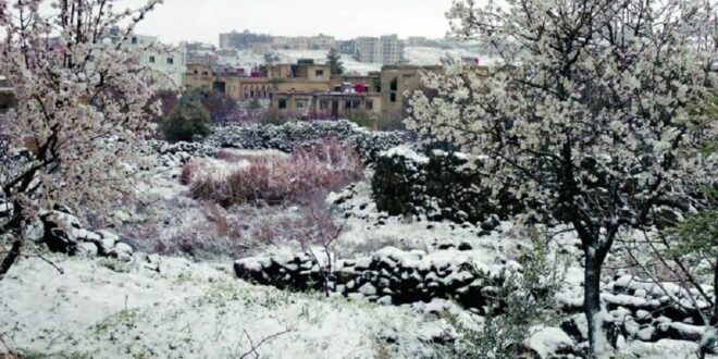 فلكي ينبه:اليمن على موعد مع خطر صقيع قاسٍ خلال الأيام المقبلة