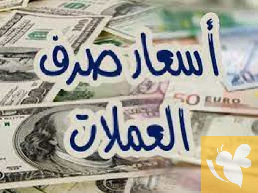 شاهد الآن...كم وصل سعر صرف الليرة اللبنانية مقابل الدولار اليوم السبت 2025