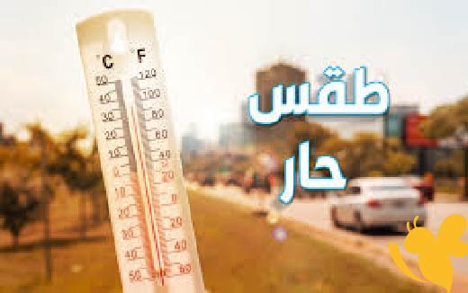 انتشار غبار كثيف وهطول أمطار متفاوتة الشدة يصحبها الرعد..حالة الطقس المتوقعة في المحافظات اليمنية اليوم الثلاثاء 3 يونيو