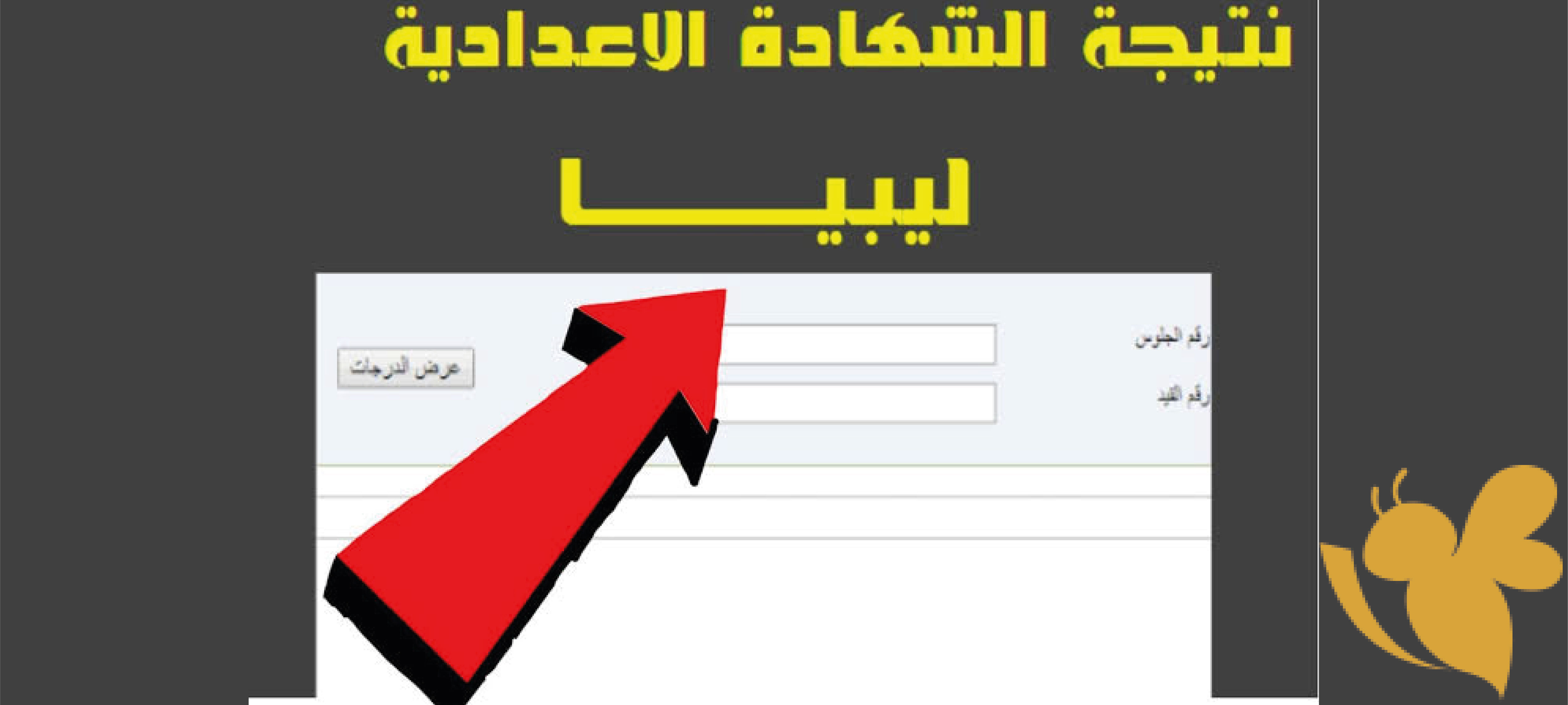 موعد إعلان نتيجة الشهادة الإعدادية ليبيا 2025 الدور الأول والرابط الرسمي للاستعلام