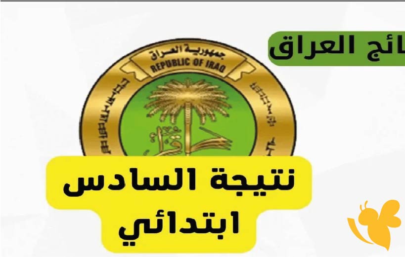خطوات تقديم اعتراض نتائج الصف السادس الابتدائي 2025 الدور الأول في العراق إلكترونيًا