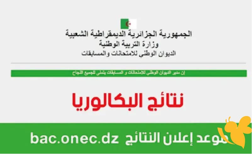 وزارة التربية الجزائرية تعلن رسمياً موعد إعلان نتائج البكالوريا 2025 وخطوات الاستعلام عبر موقع الديوان الوطني