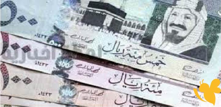 تعرف على سعر صرف الريال السعودى فى البنوك المصرية اليوم السبت 5/7/2025