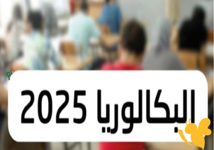 طريقة الاستعلام الإلكتروني عن نتائج البكالوريا تونس 2025 لدورة المراقبة عبر الموقع الرسمي لوزارة التربية باستخدام رقم الاكتتاب