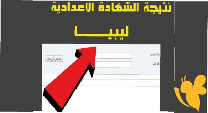 نتائج الدور الأول للشهادة الإعدادية في ليبيا 2025 عبر منصة finalresults.nec.gov.ly