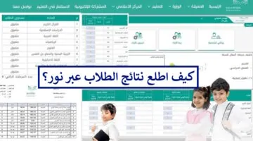 خطوات استعراض نتائج الطلاب عبر نظام نور لجميع الصفوف 1445