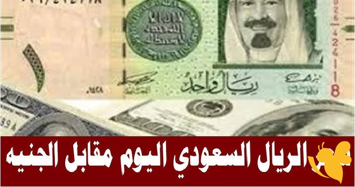 تعرف على سعر الريال السعودي مقابل الجنيه اليوم الإثنين 7 يوليو 2025.. صعود ملحوظ