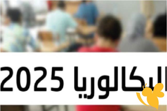 نتائج البكالوريا 2025 الجزائر.. طريقة الاستعلام وخطوات استخراج المعدل من الموقع الرسمي