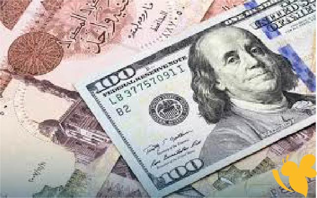 استقرار سعر الدولار مقابل الجنيه اليوم الأحد 8 يونيو 2025 في البنوك المصرية