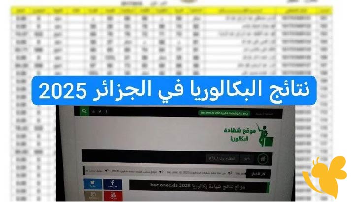 نتائج البكالوريا 2025 في الجزائر: تعرف على الموعد الرسمي وطريقة الاستعلام الصحيحة