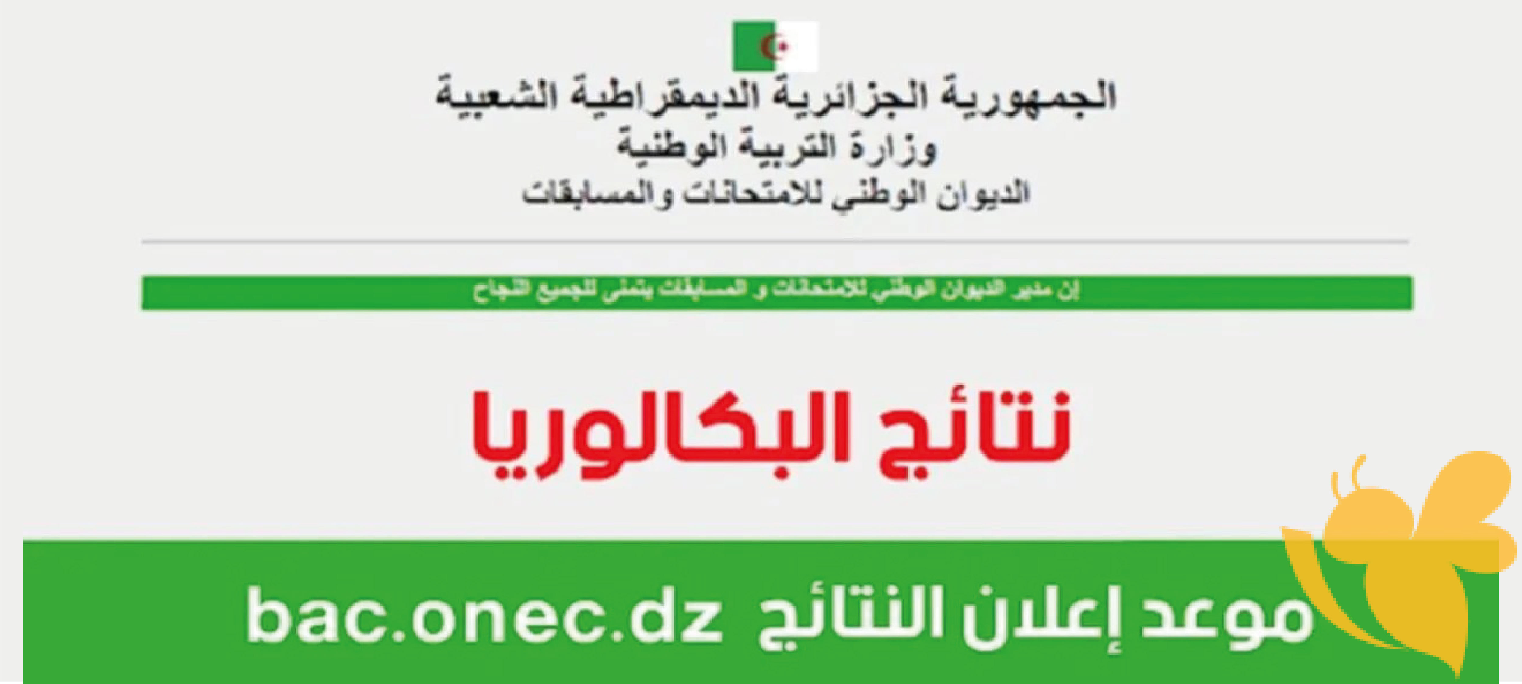 إعلان نتائج البكالوريا الجزائر 2024: كيفية الوصول إلى النتائج عبر موقع الديوان الوطني للامتحانات