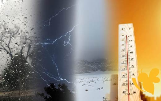 تقلبات جوية ملحوظة ..حالة الطقس في المملكة العربية السعودية اليوم الاربعاء 9 يوليو