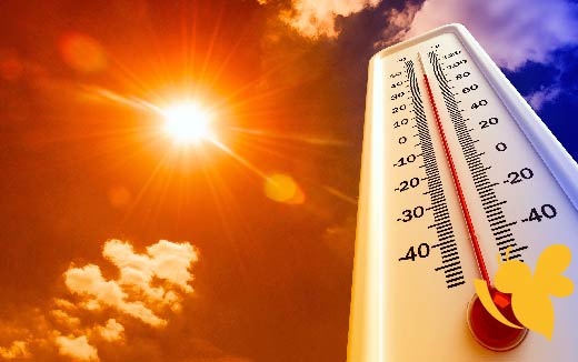 حالة الطقس المتوقعة في المحافظات اليمنية اليوم السبت 10 مايو