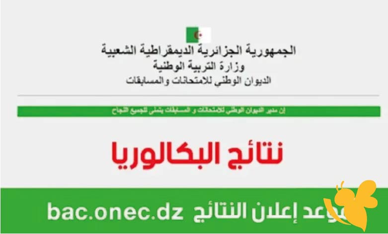 نتائج بكالوريا 2025 الجزائر عبر bac.onec.dz | استعلم الآن برقم التسجيل