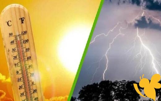 أجواء حارة نسبيًا ..حالة الطقس ودرجات الحرارة المتوقعة في المدن المصرية اليوم الأربعاء 11 يونيو