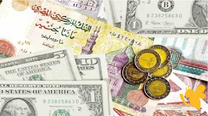 أسعار العملات الأجنبية مقابل الجنيه المصري اليوم الجمعة 11/7/2025