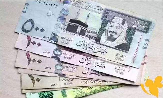 الريال السعودي يسجل انخفاضًا جديدًا أمام الجنيه في تعاملات اليوم الخميس 12/6/2025