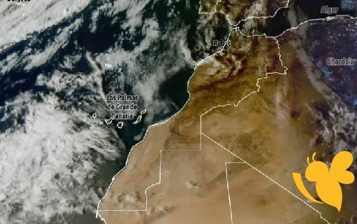ماحقيقة عاصفة شيماء الي ستضرب مصر؟ ..حالة الطقس ودرجات الحرارة المتوقعة في مصر اليوم الثلاثاء 13 مايو