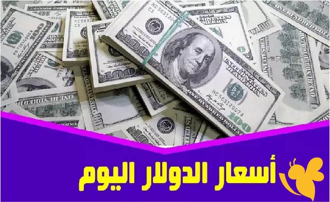سعر الدولار الآن.. تحديث لحظي في بنك مصر والبنوك الأخرى