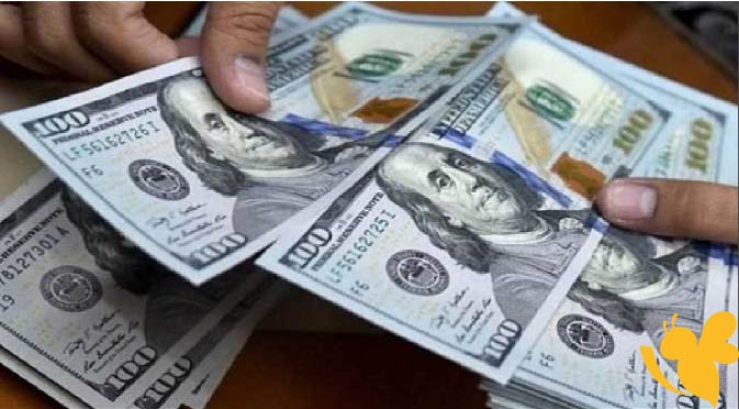 آخر تحديث لأسعار الدولار في البنوك المصرية اليوم السبت 14/6/2025