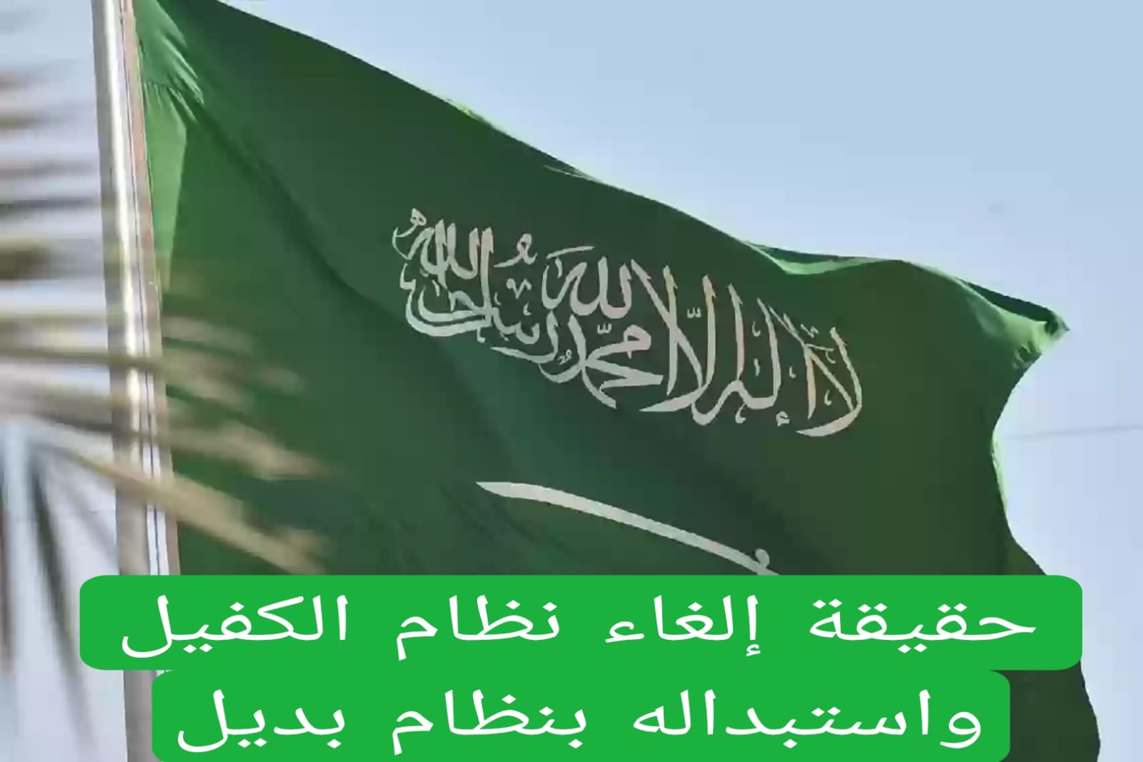 نظام الكفيل في السعودية: هل سيتم إلغاؤه؟ تعرف على التفاصيل الجديدة للمبادرة