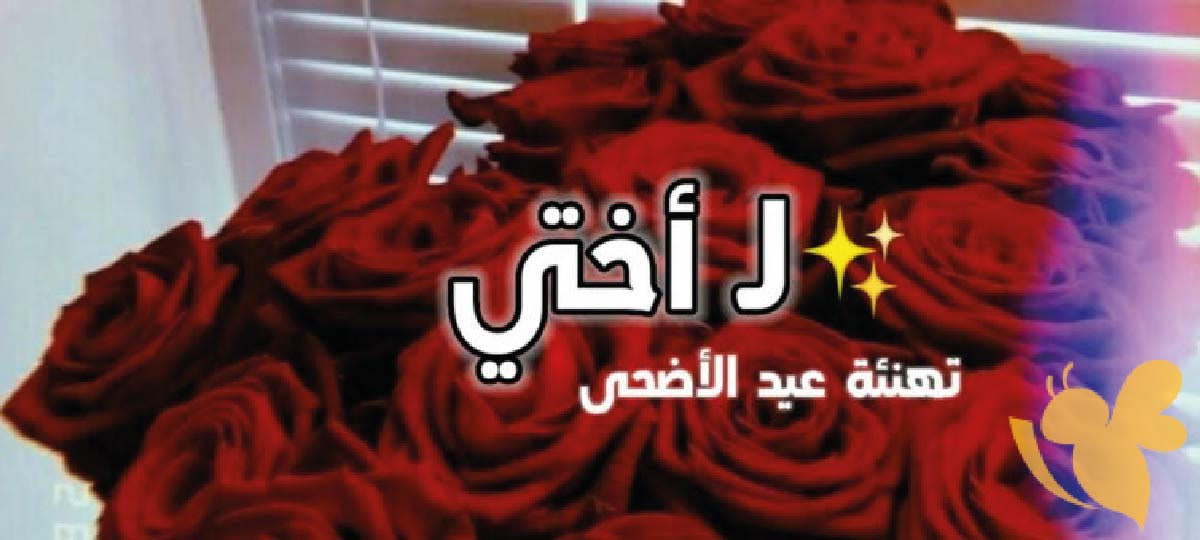 أجمل عبارات التهنئة بعيد الأضحى لأختي 2024: أرسلها الآن وشاركها فرحة العيد