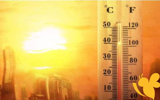 هيئة الأنواء الجوية توضح حالة الطقس في الأردن اليوم وغداً الأثنين 16 يونيو