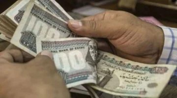 رواتب نوفمبر 2024: التخطيط المالي وأهمية الالتزام بالمواعيد