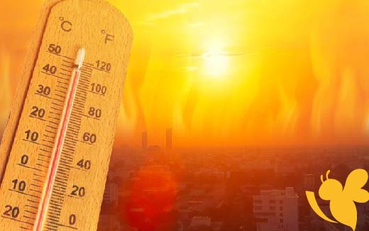 طقس حار والرياح شمالية ..حالة الطقس المتوقعة في الأربعاء 18 يونيو 2025