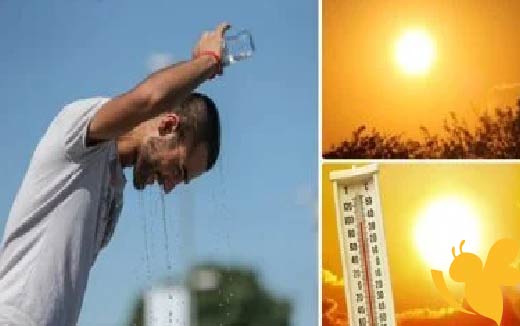 أجواء مائلة للحرارة إلى حارة رطبة ..حالة الطقس ودرجات الحرارة المتوقعة في مصر اليوم الأربعاء 18 يونيو 2025