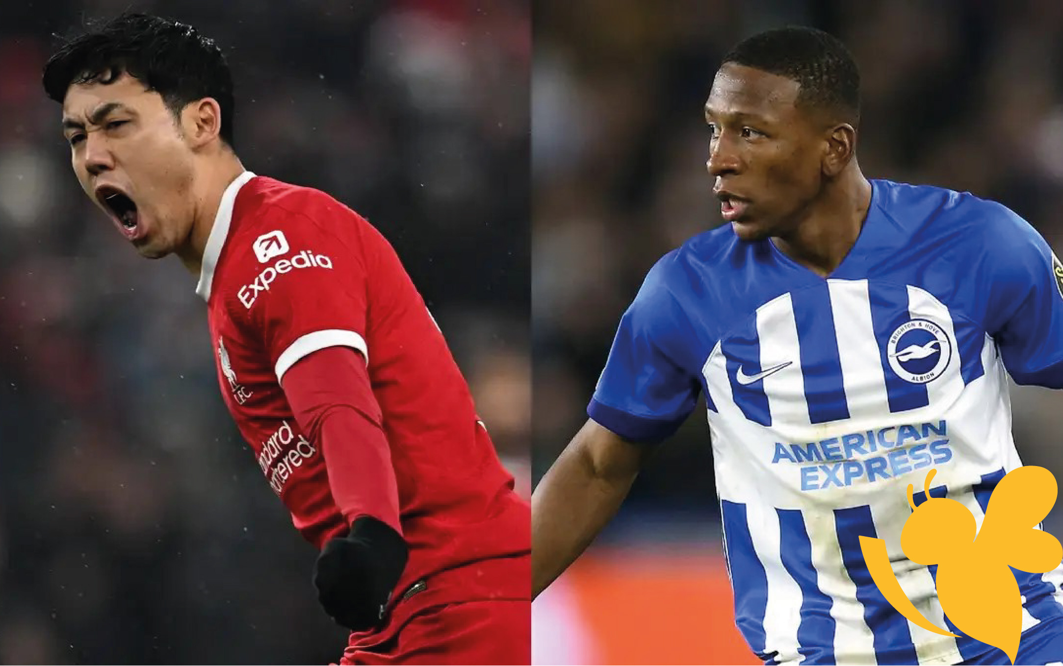 موعد مباراة ليفربول ضد برايتون في الدوري الإنجليزي: تفاصيل القنوات والمعلق