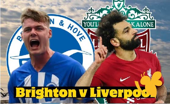 شاهدوا البث المباشر لمباراة ليفربول ضد برايتون اليوم في الدوري الإنجليزي بقيادة محمد صلاح 