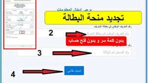 إعادة تجديد منحة البطالة في الجزائر: خطوات لضمان استمرار الدعم المالي