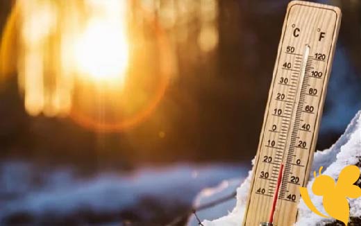الطقس حار إلى مائل للحرارة..حالة الطقس المتوقعة في الكويت اليوم السبت 21 يونيو