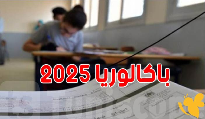 موعد نتائج البكالوريا 2025 في تونس: وخطوات الاستعلام عبر موقع bac.education.tn