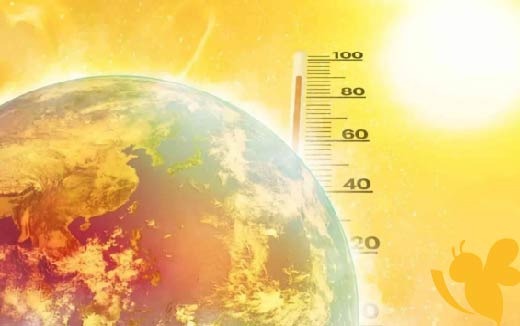 طقس شديد الحرارة نهارًا .. حالة الطقس ودرجات الحرارة المتوقعة في مصر اليوم السبت 24 مايو