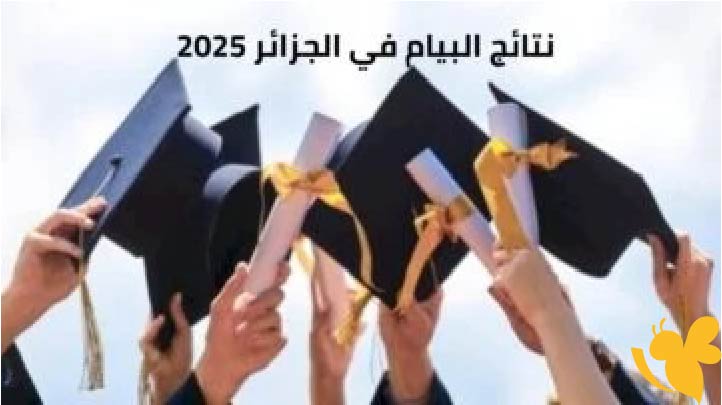 رابط وخطوات الاستعلام عن نتائج شهادة التعليم المتوسط 2025 في الجزائر عبر موقع الديوان الوطني