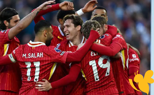 ليفربول يستضيف كريستال بالاس في الجولة الأخيرة من الدوري الإنجليزي اليوم 25 مايو 2025