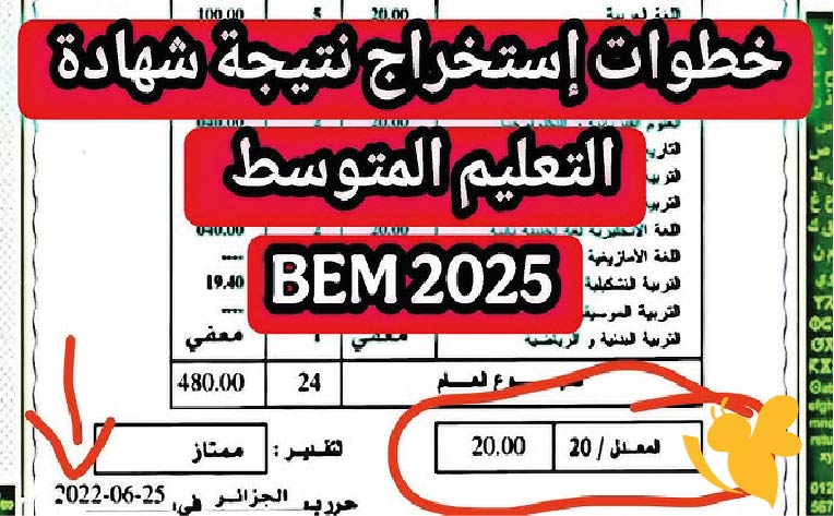 وزارة التربية الجزائرية تعلن موعد نتائج شهادة التعليم المتوسط 2025 وروابط الاستعلام حسب الولايات