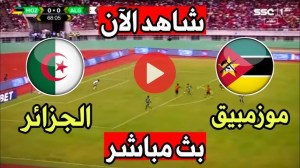 مشاهدة البث المباشر لمباراة الجزائر وموزمبيق في تصفيات كأس العالم 2026 اليوم الثلاثاء 25/3/2025