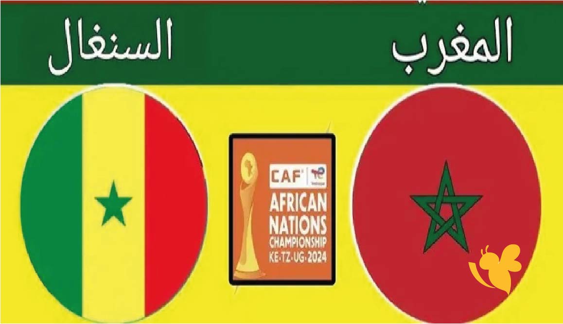 القنوات الناقلة المفتوحة لمشاهدة مباراة المغرب ضد السنغال في نصف نهائي كأس أمم إفريقيا للمحليين