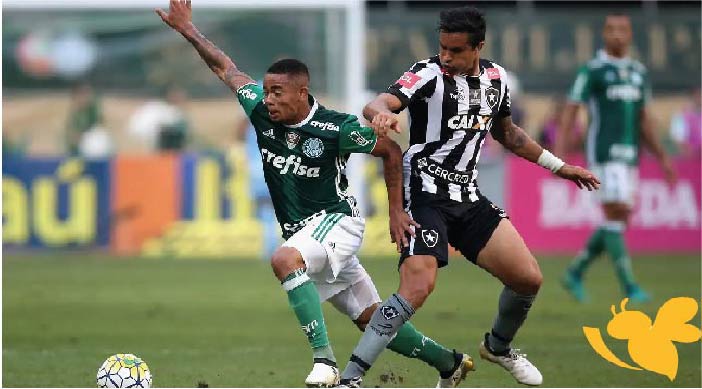 الان شاهدوا بث مباشر لمباراة بالميراس ضد بوتافوجو في كأس العالم للأندية اليوم 28 يونيو 2025 تابعها بجودة HD
