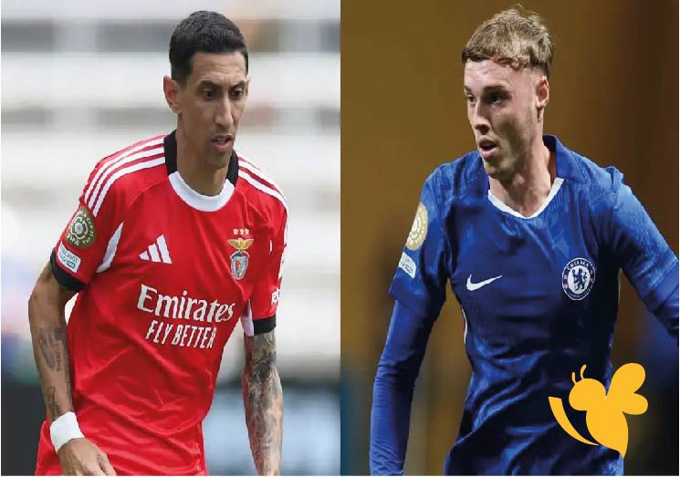 تعرفوا على القنوات الناقلة المفتوحة لمشاهدة مباراة تشيلسي ضد بنفيكا في كأس العالم للأندية 2025