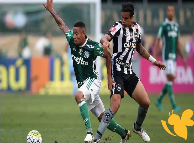 يلا شوت شاهدوا البث المباشر لمباراة بالميراس ضد بوتافوجو اليوم في كأس العالم للأندية 2025 