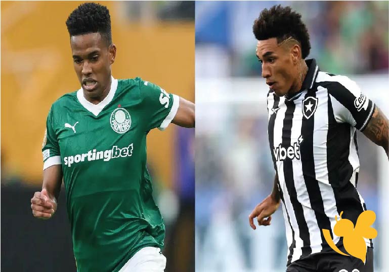 موعد مباراة بالميراس ضد بوتافوجو اليوم في كأس العالم للأندية 2025 والقنوات الناقلة