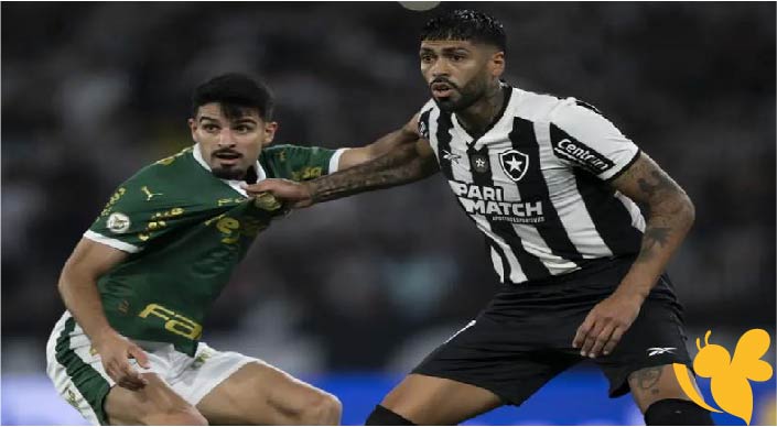 لا تفوتوا مباراة بالميراس وبوتافوجو في كأس العالم للأندية اليوم السبت 28/6/2025 بث مباشر بدقة عالية