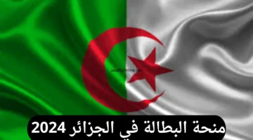 منحة البطالة في الجزائر: خطوات التسجيل وشروط الاستفادة في 2024