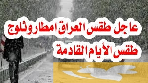 أمطار غزيرة وغبار..هيئة الأنواء الجوية توضح مستجدات الأحوال الجوية اليوم وغداً الخميس