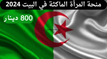 فرصة مالية للمرأة الجزائرية: احصلي على 800 دينار عبر منحة الماكثات في البيت